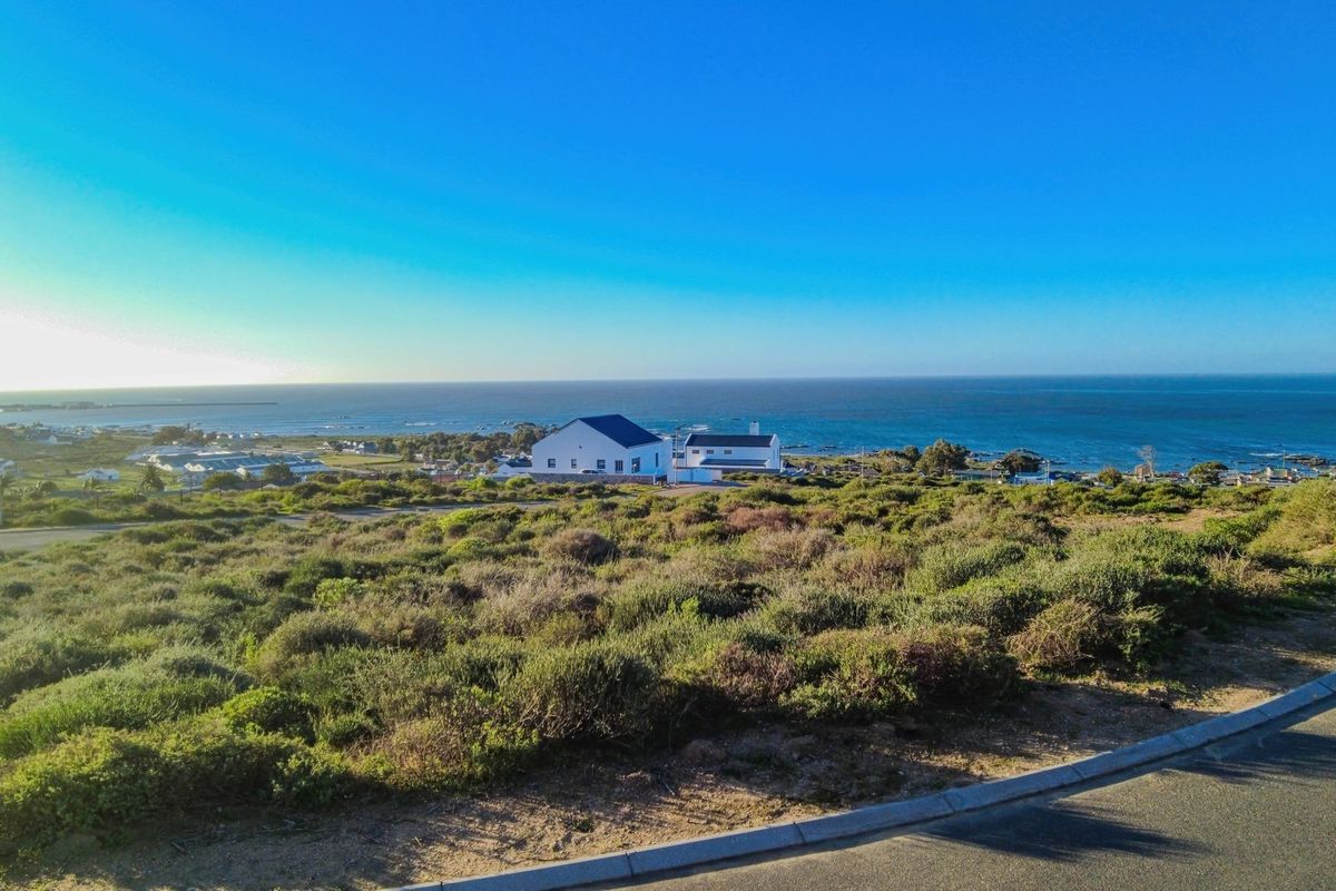 Elevated view overlooking a coastal landscape with native vegetation and distant ocean horizon.