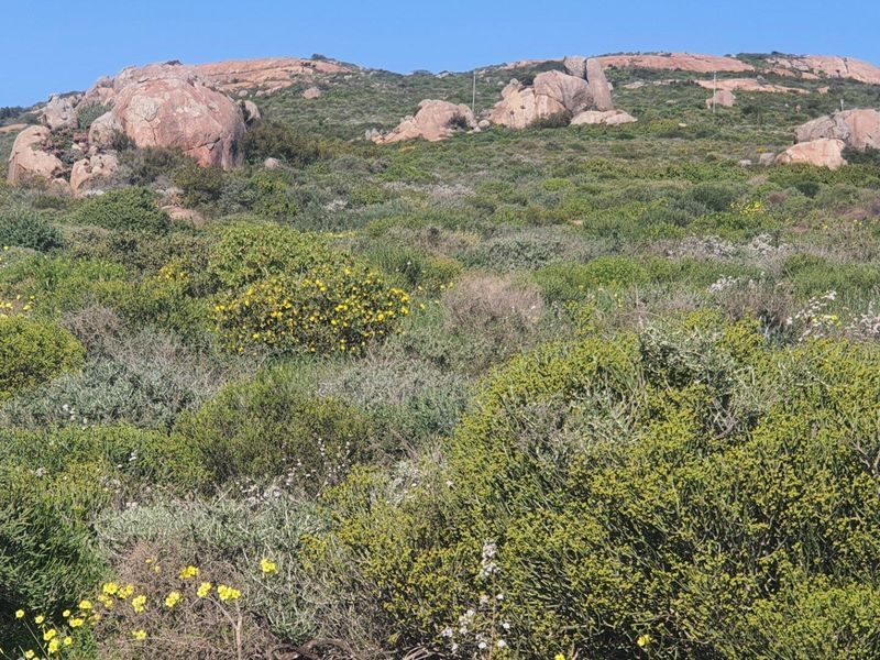 Vacant Land For Sale in St Helena Views, St Helena Bay - Photo 3