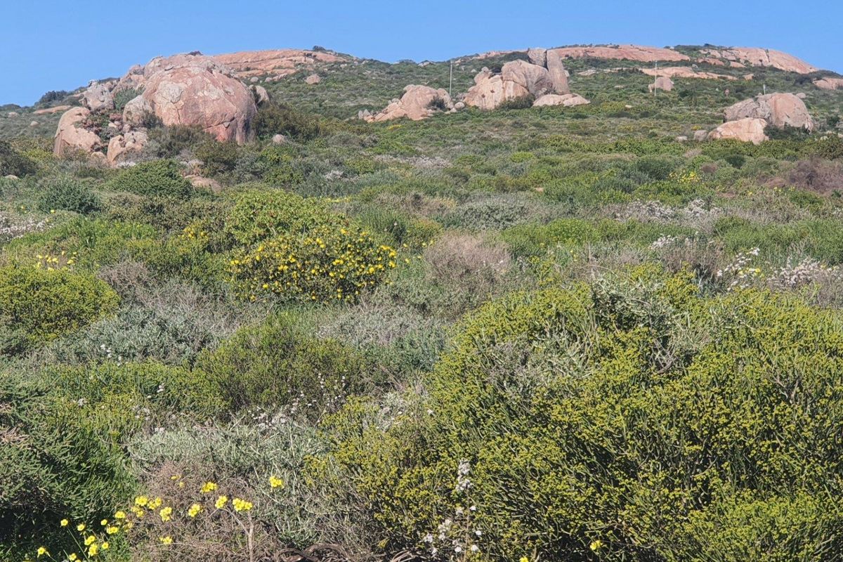 Vacant Land For Sale in St Helena Views, St Helena Bay - Photo 3