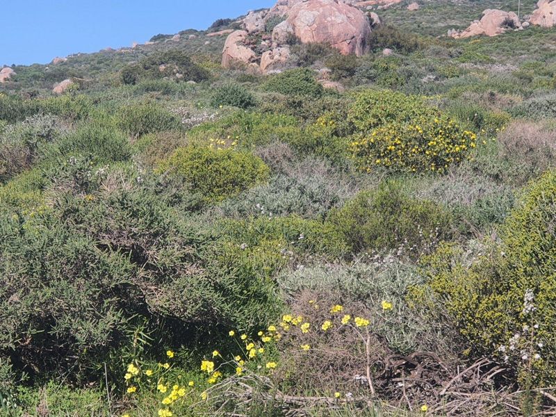 Vacant Land For Sale in St Helena Views, St Helena Bay - Photo 4