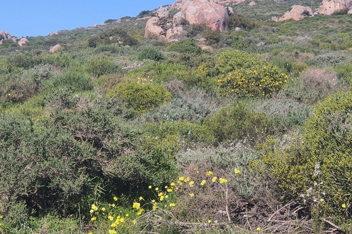 Vacant Land For Sale in St Helena Views, St Helena Bay - Photo 4
