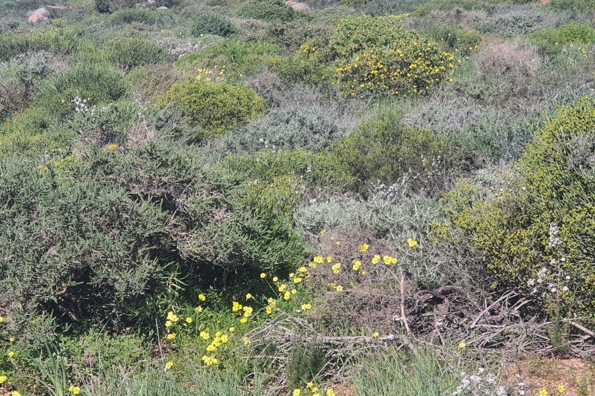 Vacant Land For Sale in St Helena Views, St Helena Bay - Photo 5