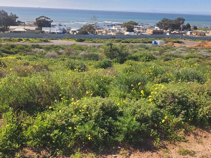 Vacant Land For Sale in St Helena Views, St Helena Bay - Photo 5
