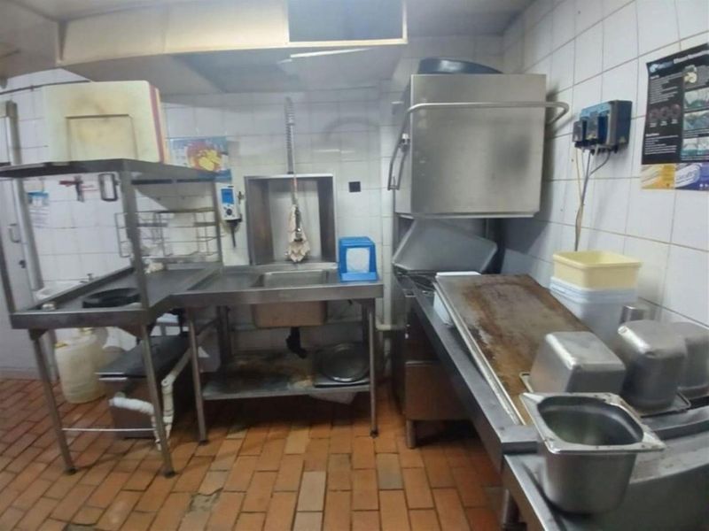 PERFECT STARTER KICK INVESTMENT! - Photo 10