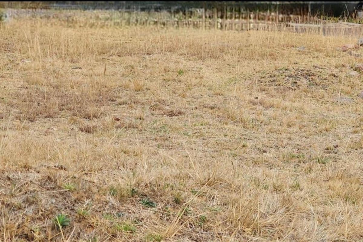 Vacant Land For Sale in Bankenveld Golf Estate, Bankenveld, Witbank - Photo 5