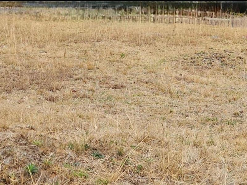 A view of a vacant residential plot featuring dry grass and natural terrain, offering a blank canvas for future development.