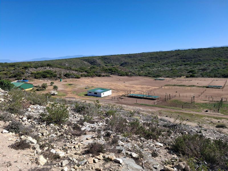 Farm UNDER OFFER in Riversdale Rural, Riversdale - Photo 10