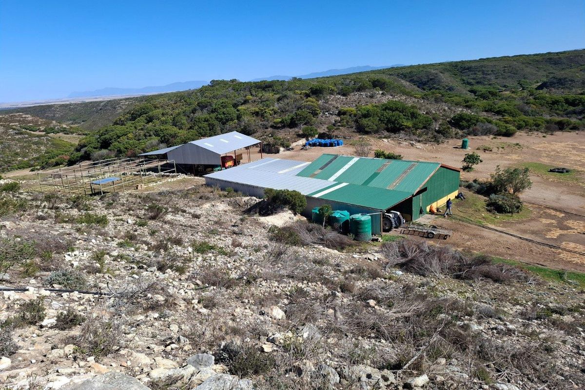 Aerial view of farm infrastructure featuring large metal-roofed barns, storage sheds, and water tanks set within a rural landscape.