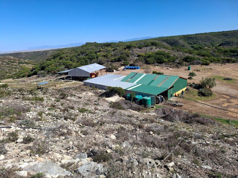 Farm UNDER OFFER in Riversdale Rural, Riversdale - Photo 6