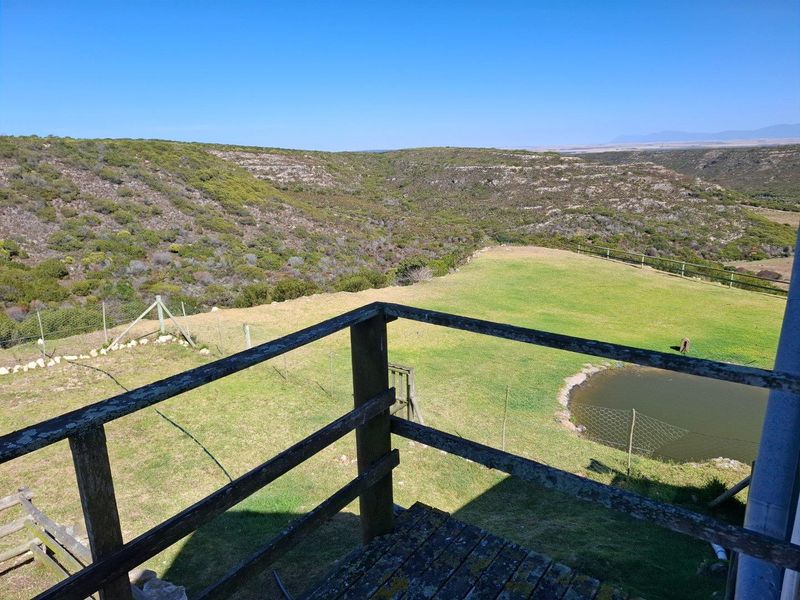 Farm UNDER OFFER in Riversdale Rural, Riversdale - Photo 5