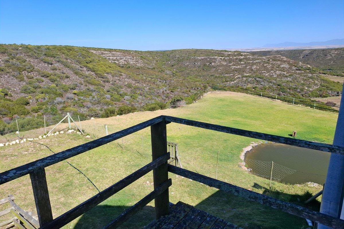 Farm UNDER OFFER in Riversdale Rural, Riversdale - Photo 5