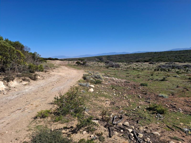 Farm UNDER OFFER in Riversdale Rural, Riversdale - Photo 9