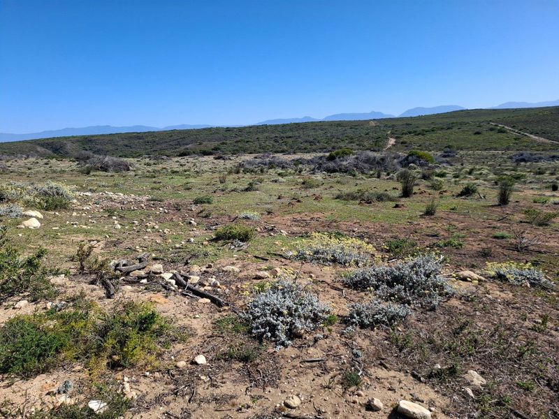 Farm UNDER OFFER in Riversdale Rural, Riversdale - Photo 8