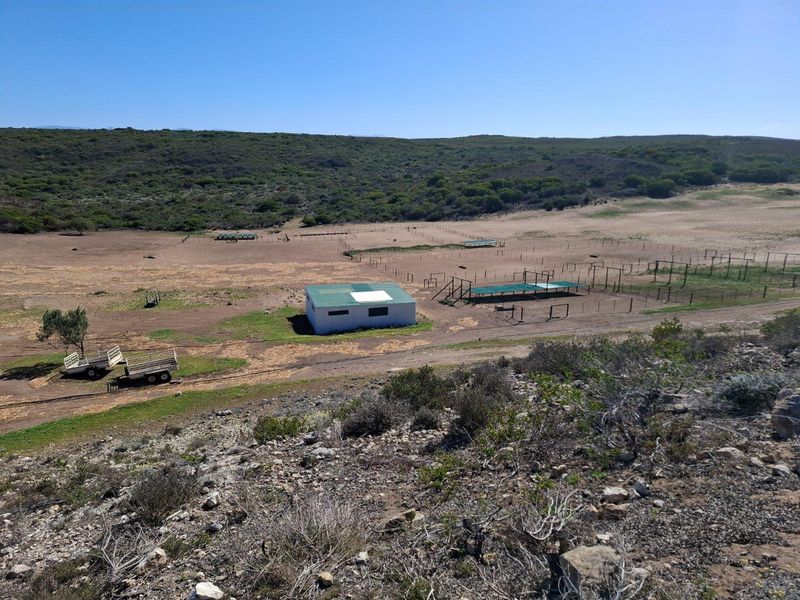 Farm UNDER OFFER in Riversdale Rural, Riversdale - Photo 7