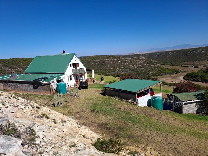 Farm UNDER OFFER in Riversdale Rural, Riversdale - Photo 3