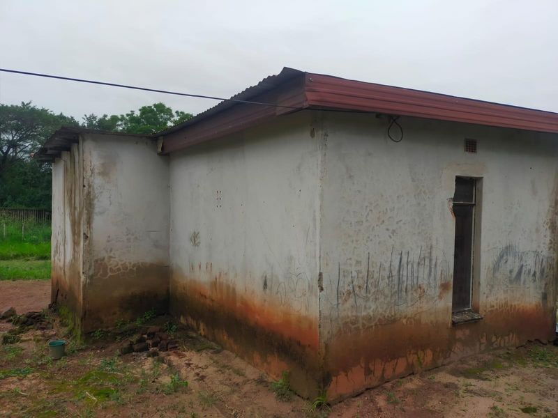 Rear view of a small residential structure showing significant exterior wall deterioration, rising damp, and weathered plaster finishes.