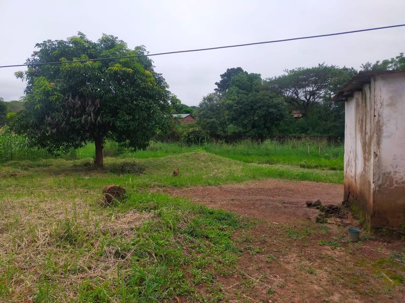 A view of a residential plot featuring mature trees, natural grass, and a section of an existing exterior wall structure.