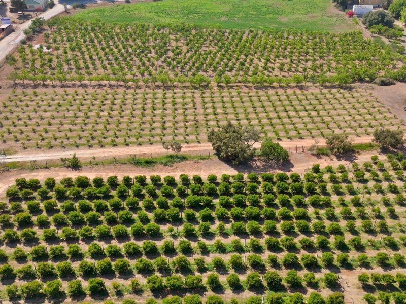 Farm For Sale in Van Wyksdorp, Ladismith - Photo 10