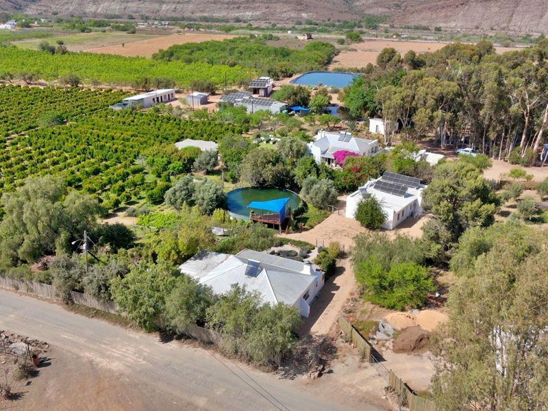Farm For Sale in Van Wyksdorp, Ladismith - Photo 9