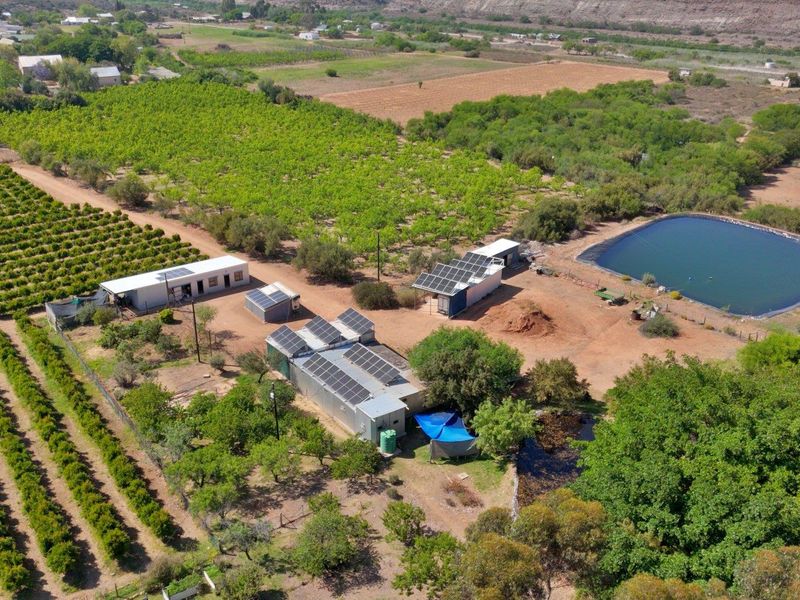 Farm For Sale in Van Wyksdorp, Ladismith - Photo 7