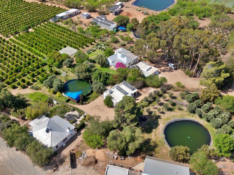 Farm For Sale in Van Wyksdorp, Ladismith - Photo 6