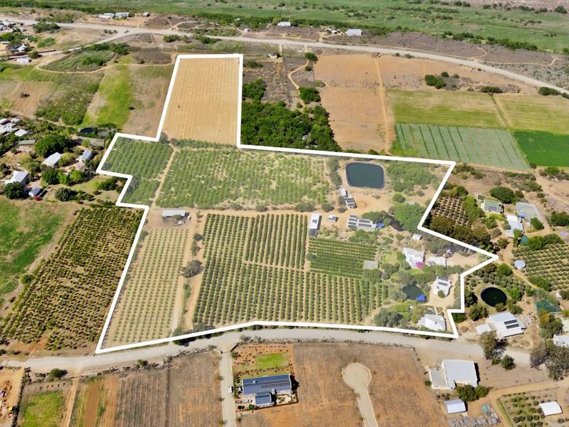 Farm For Sale in Van Wyksdorp, Ladismith - Photo 5