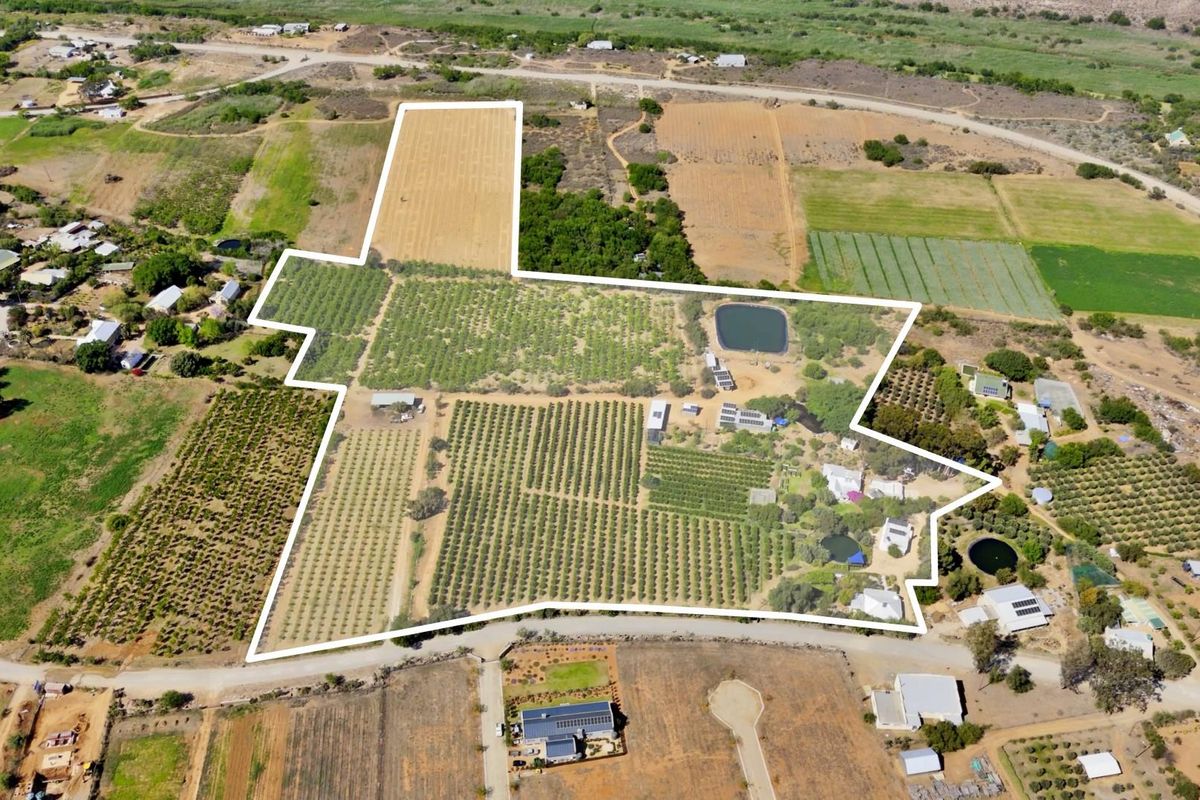 Farm For Sale in Van Wyksdorp, Ladismith - Photo 5