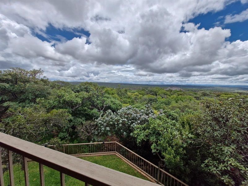 PRISTINE WHEELCHAIR-FRIENDLY BUSHVELD HOME FOR SALE - Photo 3