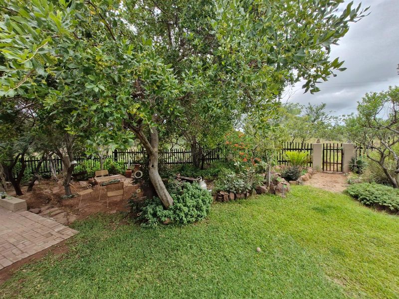 PRISTINE WHEELCHAIR-FRIENDLY BUSHVELD HOME FOR SALE - Photo 5