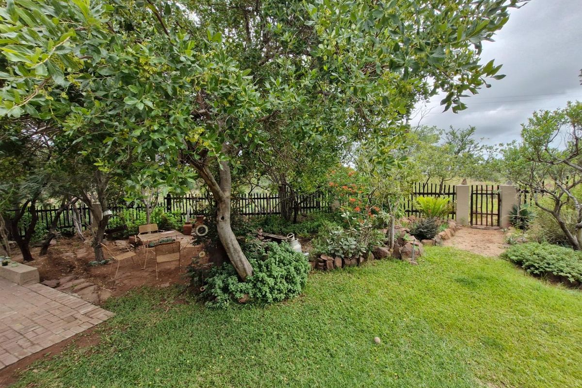 PRISTINE WHEELCHAIR-FRIENDLY BUSHVELD HOME FOR SALE - Photo 5