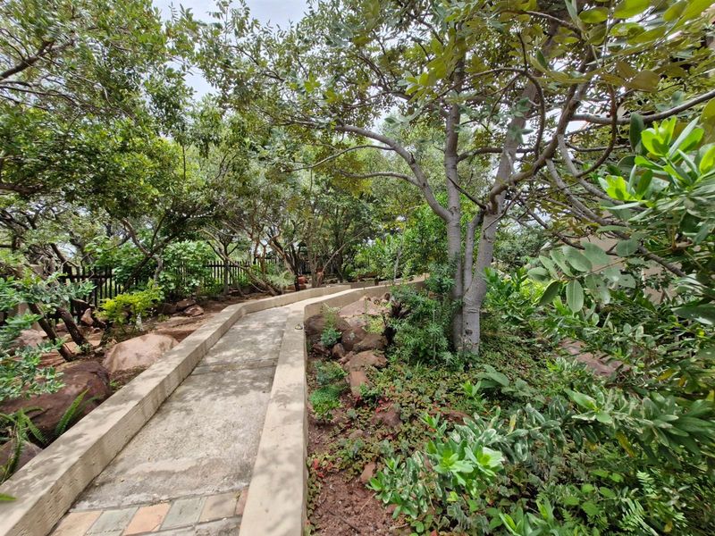 PRISTINE WHEELCHAIR-FRIENDLY BUSHVELD HOME FOR SALE - Photo 9