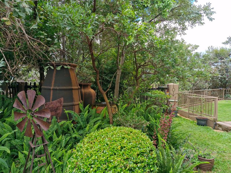 PRISTINE WHEELCHAIR-FRIENDLY BUSHVELD HOME FOR SALE - Photo 6