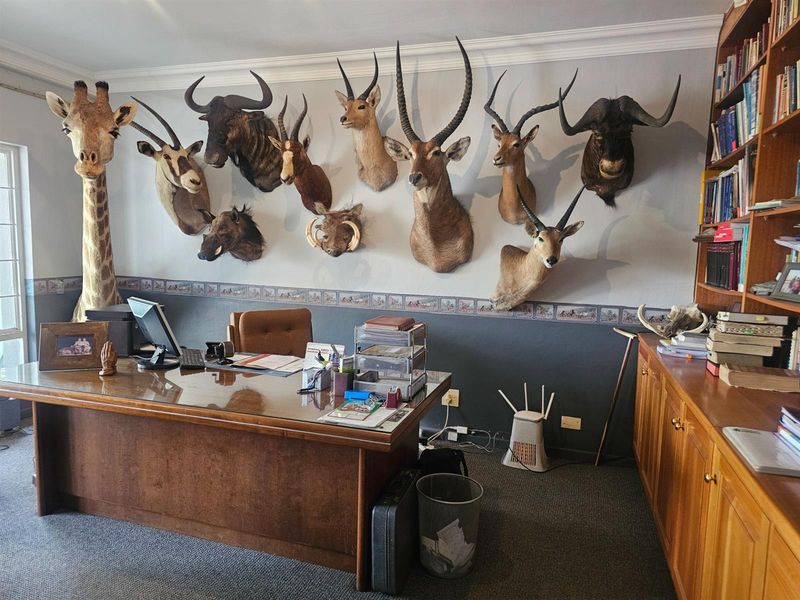 Perfect address. House with a granny flat. - Photo 7