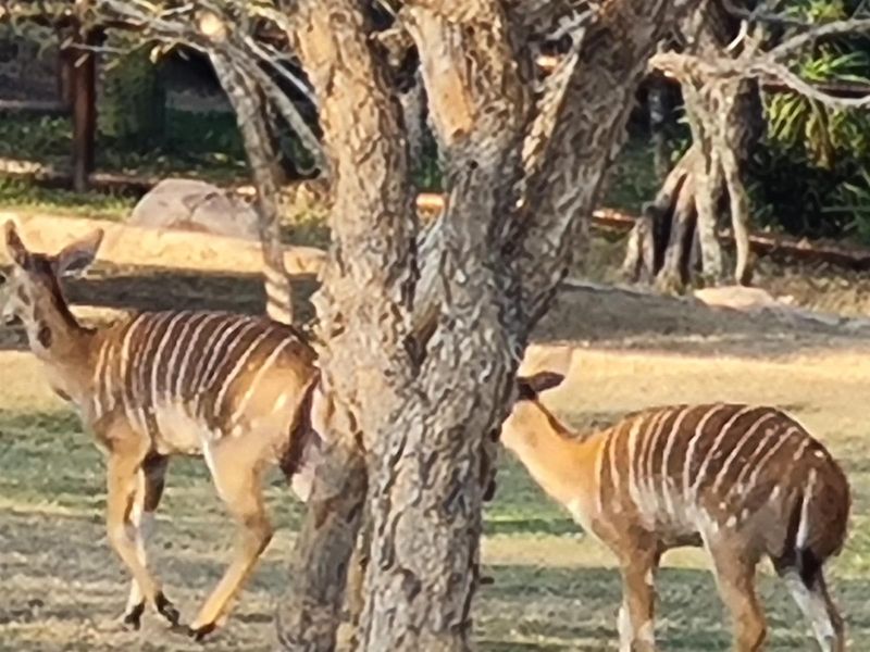 Vacant Land For Sale in Kranspoort, Middelburg - Photo 2