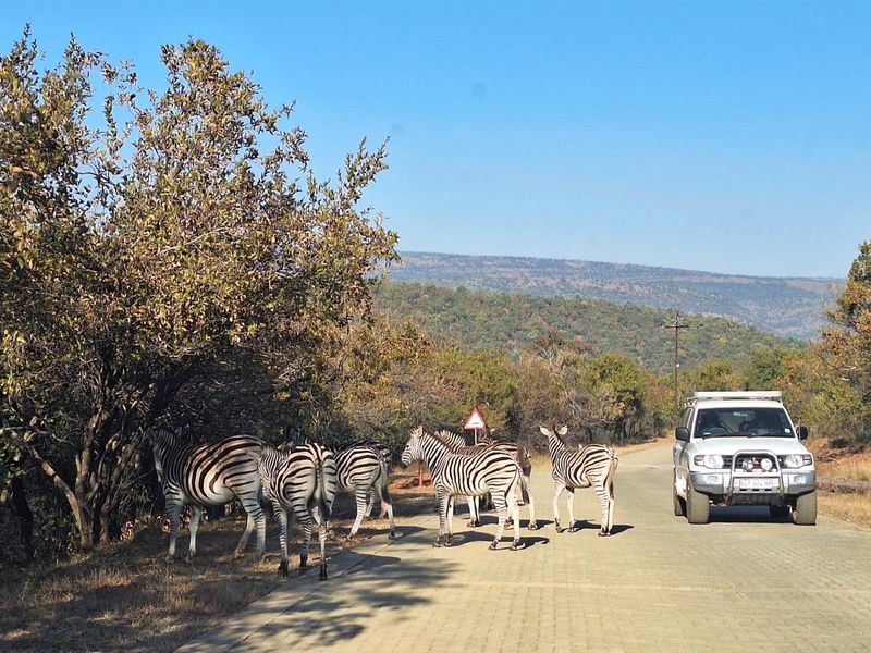 Vacant Land For Sale in Kranspoort, Middelburg - Photo 8