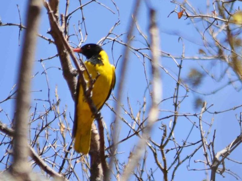 Vacant Land For Sale in Kranspoort, Middelburg - Photo 5