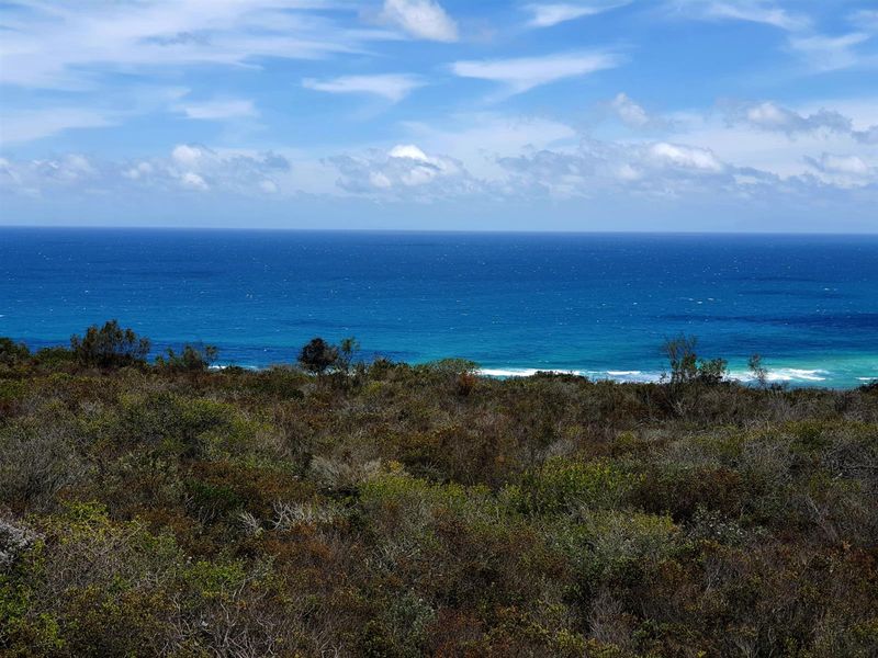 Where the Horizon Becomes Your Neighbour - Nautilus Bay - Photo 7