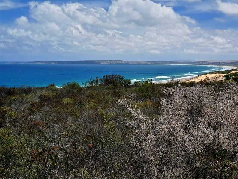 Where the Horizon Becomes Your Neighbour - Nautilus Bay - Photo 10