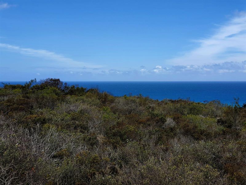 Where the Horizon Becomes Your Neighbour - Nautilus Bay - Photo 6
