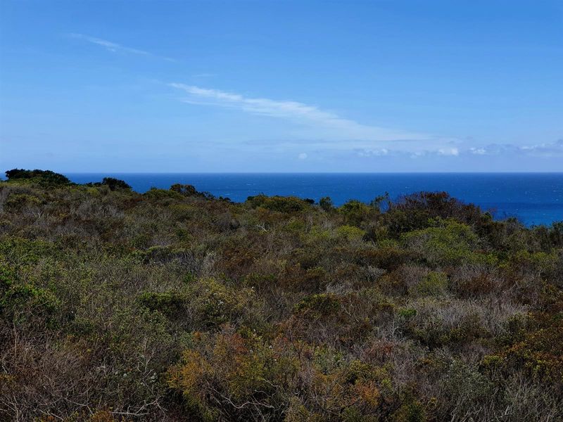 Where the Horizon Becomes Your Neighbour - Nautilus Bay - Photo 9