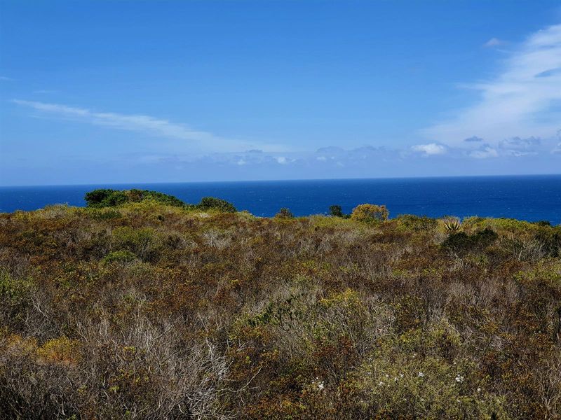 Where the Horizon Becomes Your Neighbour - Nautilus Bay - Photo 4