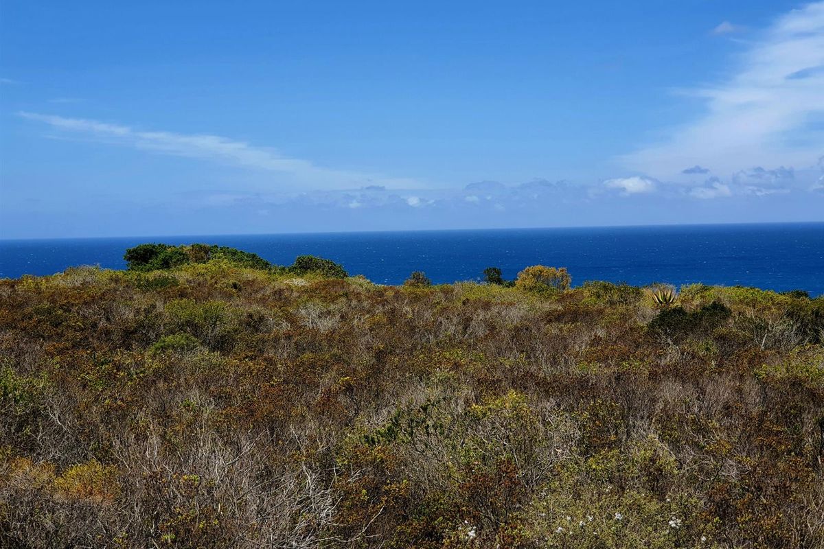 Where the Horizon Becomes Your Neighbour - Nautilus Bay - Photo 4
