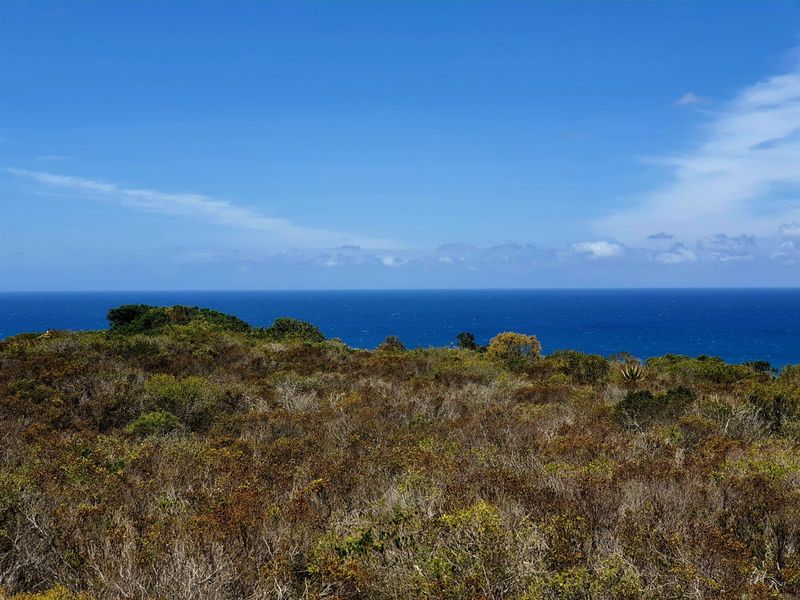 Where the Horizon Becomes Your Neighbour - Nautilus Bay - Photo 5