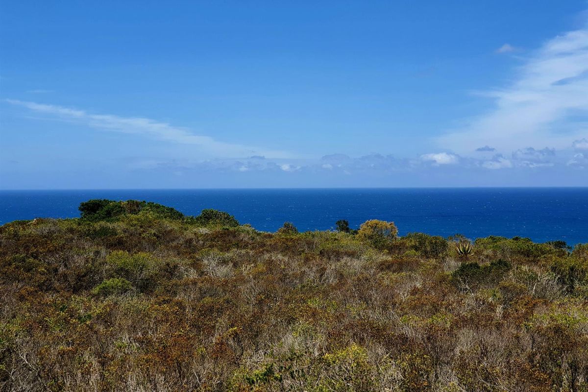 Where the Horizon Becomes Your Neighbour - Nautilus Bay - Photo 5