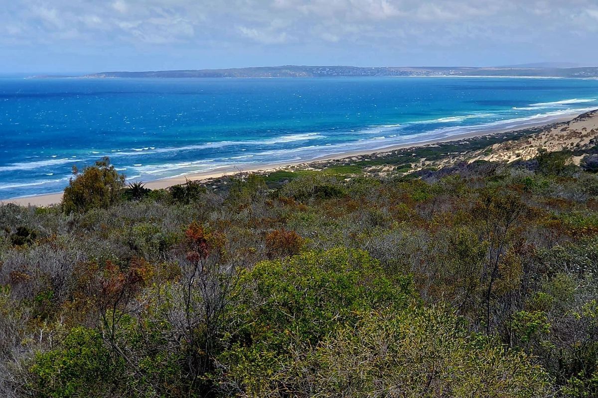 Where the Horizon Becomes Your Neighbour - Nautilus Bay - Photo 2