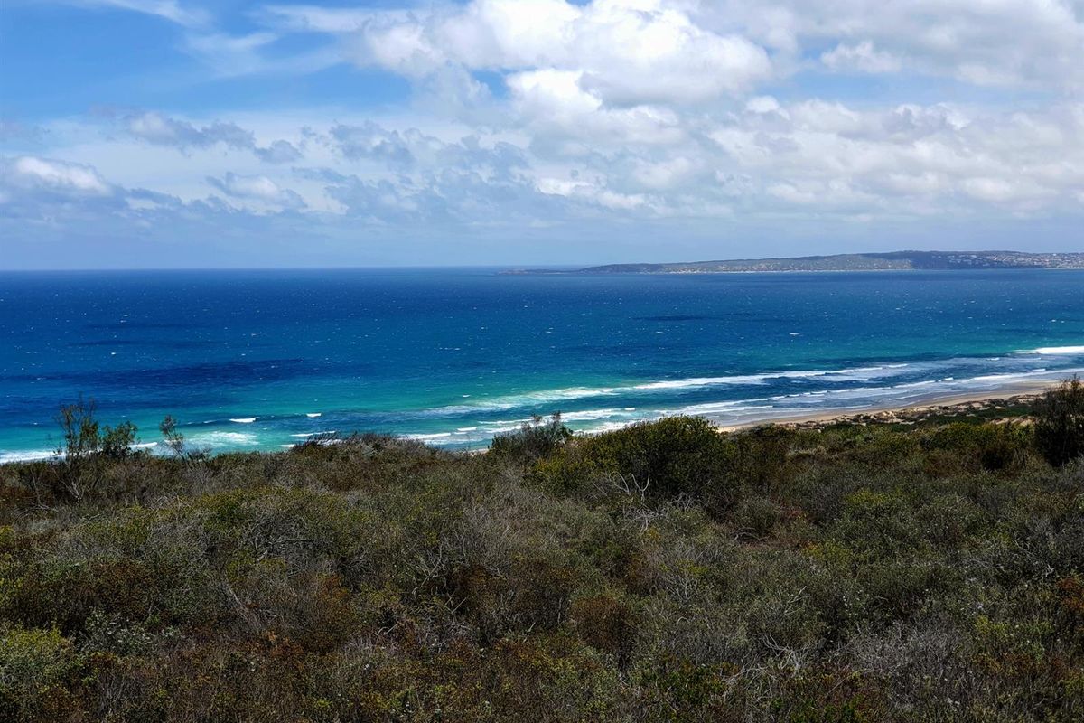 Where the Horizon Becomes Your Neighbour - Nautilus Bay - Photo 3