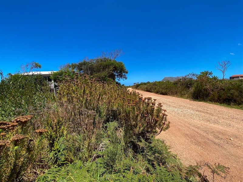 Nature-Lover’s Dream Stand | 880sqm with Kogelberg Mountain Views | Mountain Stream on Site - Photo 7