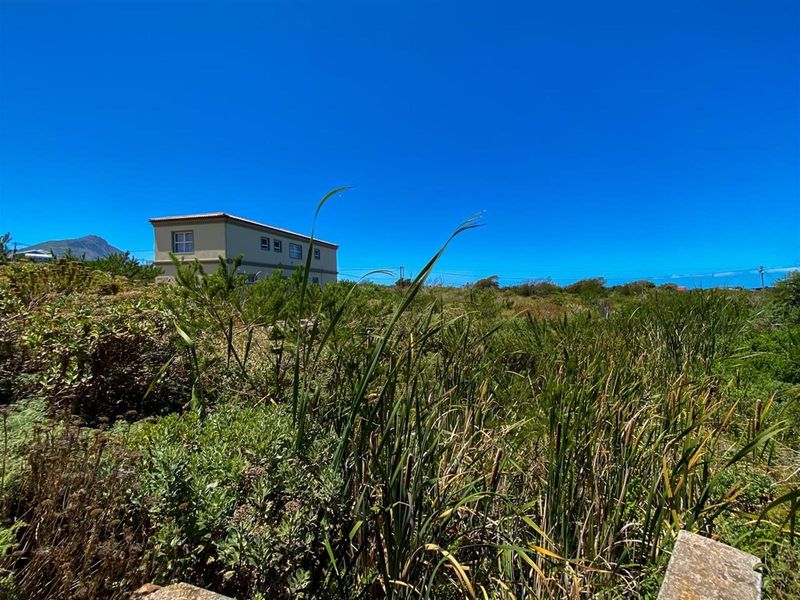 Nature-Lover’s Dream Stand | 880sqm with Kogelberg Mountain Views | Mountain Stream on Site - Photo 9