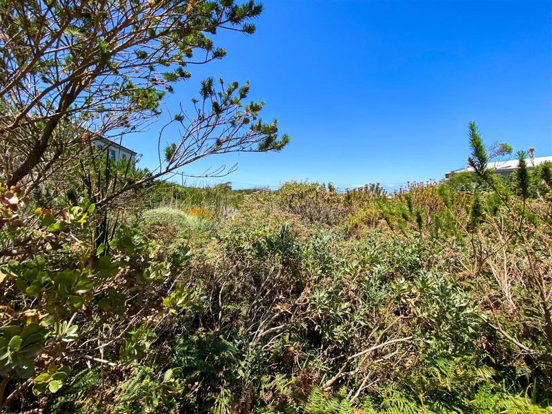 Nature-Lover’s Dream Stand | 880sqm with Kogelberg Mountain Views | Mountain Stream on Site - Photo 6