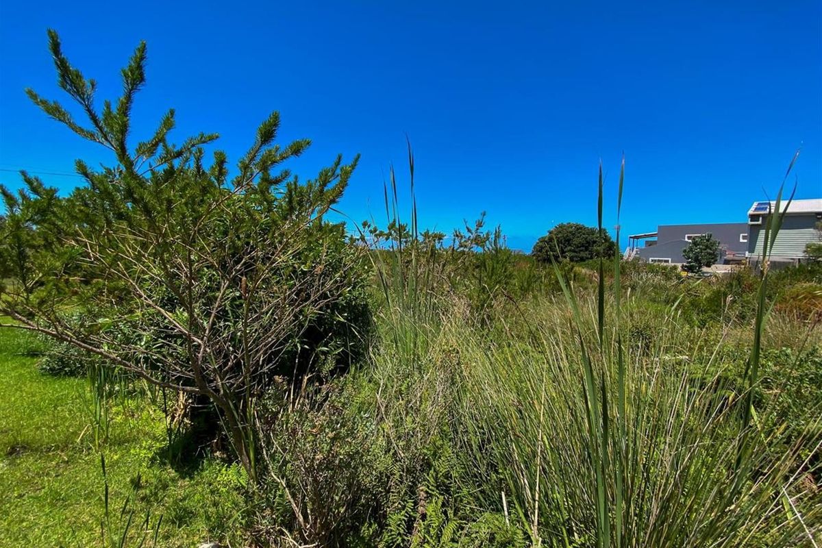 Nature-Lover’s Dream Stand | 880sqm with Kogelberg Mountain Views | Mountain Stream on Site - Photo 5